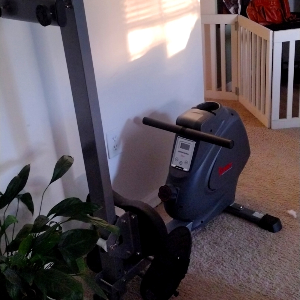 Rowing machine.Sunny